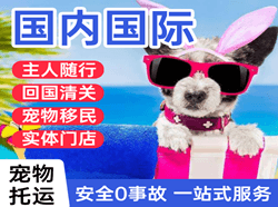 王村空运公司国际宠物托运 【国